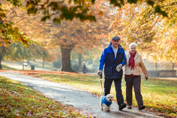 Elderly couple linking arms walking a small dog. 
